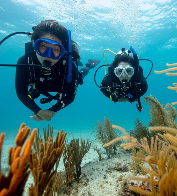 Discover Scuba Diving (Bautismo de Mar)